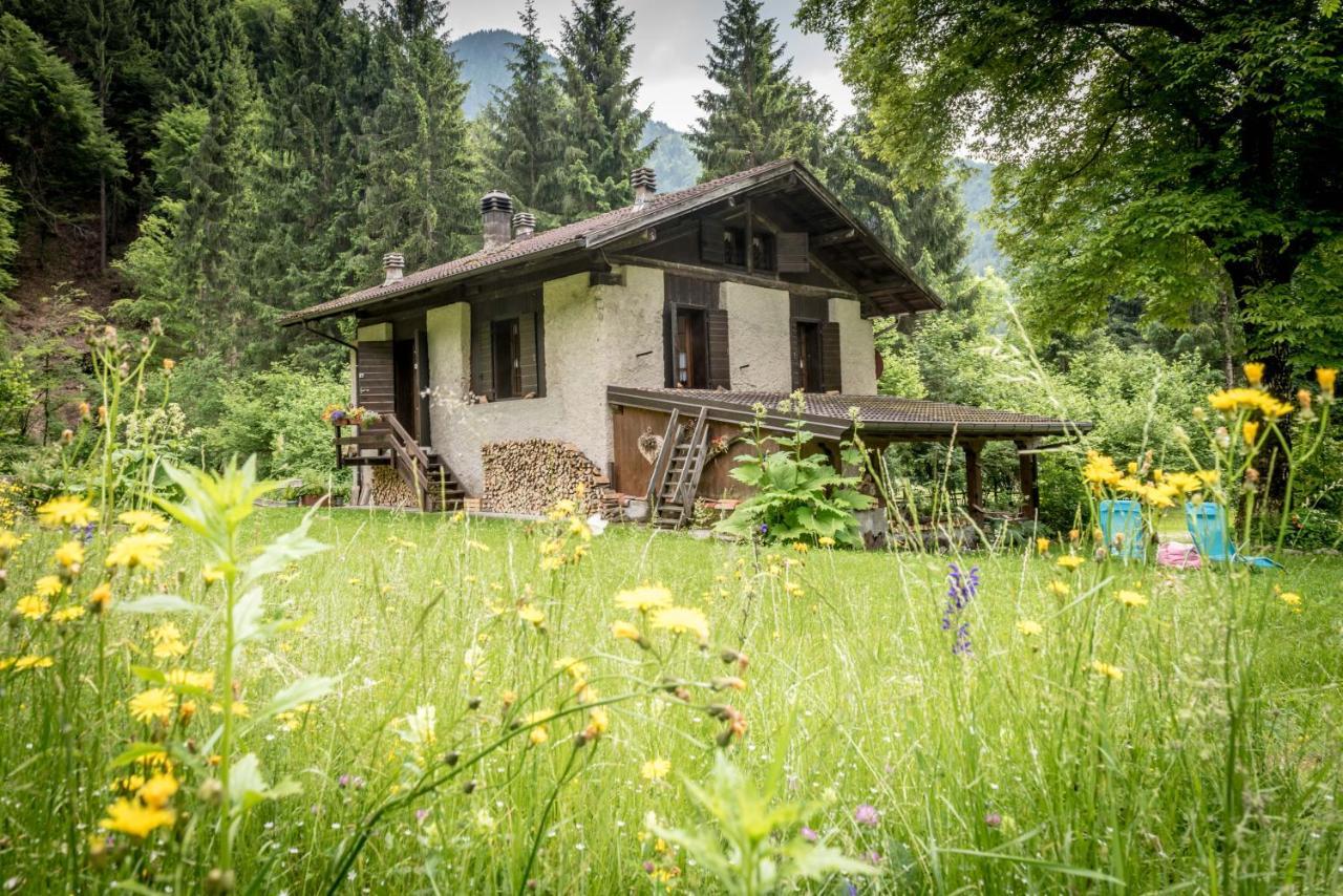 Вілла Chalet Silenthia Lenzumo di Concei Екстер'єр фото