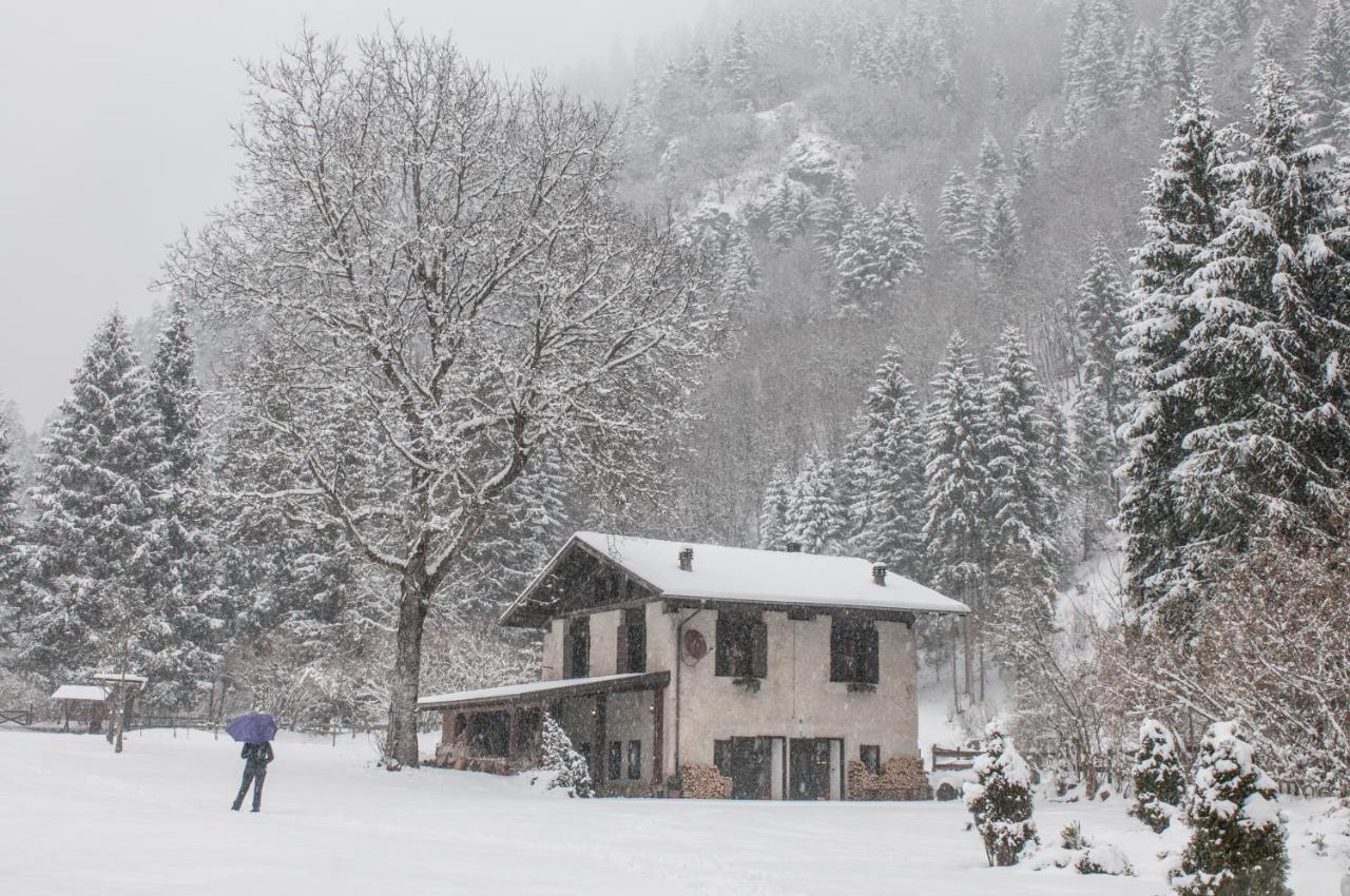 Вілла Chalet Silenthia Lenzumo di Concei Екстер'єр фото
